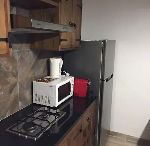 Pet friendly Un Luxueux Appartement Au Coeur De La Marsa.